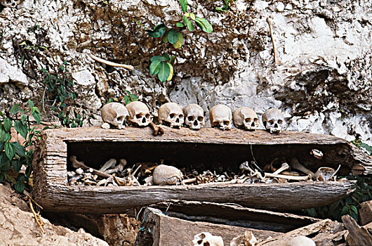 印度尼西亚,头骨,葬礼,岩石上,大幅,尺寸