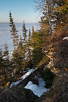 海岸线,树,温尼伯湖,赫克拉火山磨石省立公园,曼尼托巴,加拿大