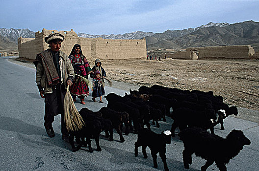 2003年,阿富汗,高知,旅行,道路,靠近,城镇,南,喀布尔,首都,局部,房车,省,巴基斯坦,迁移