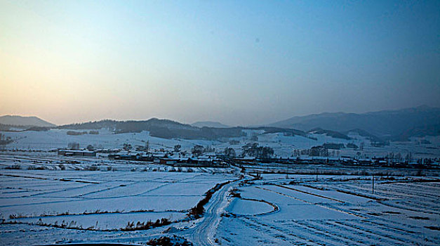 雪野,北方,东北,大雪,原野,土地,冬季,洁白,干净,风景,村庄,农村