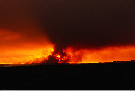 森林火灾,日落,科罗拉多,美国