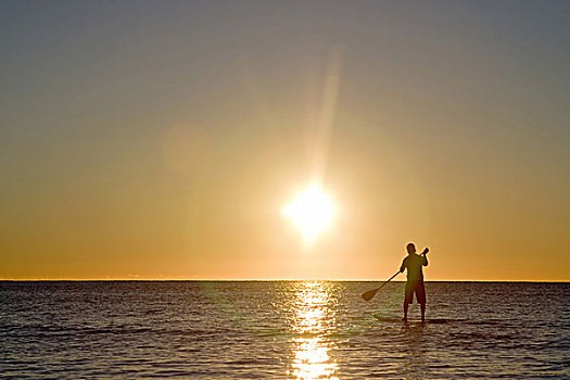 男人,海洋,看,日出,佛罗里达礁岛群,美国