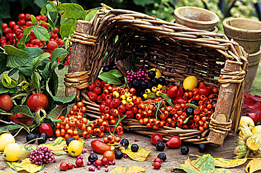 篮子,浆果,水果,秋天装饰