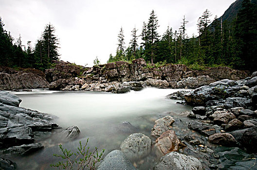 风景,流水,河流,上方,漂石,不列颠哥伦比亚省,加拿大