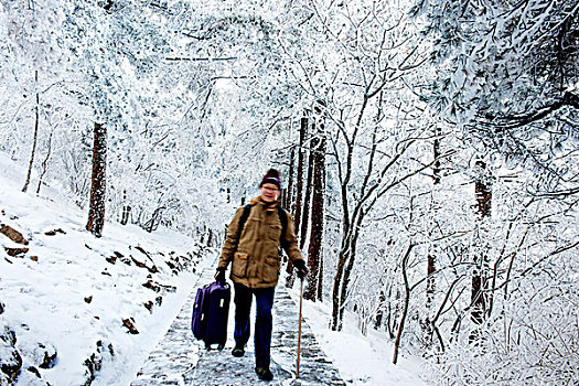 黄山,雪景,树林,登山道,冰挂,游人