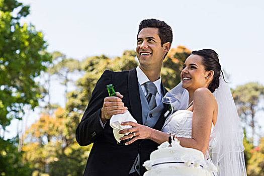 新婚夫妇,香槟,瓶子,公园