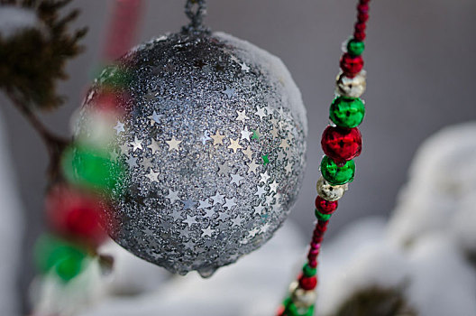 银,圣诞饰品,装饰,雪,户外,树