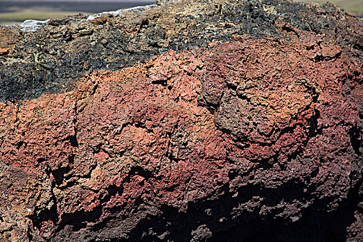 冰岛,地区,冷却,火山岩,特写,红色