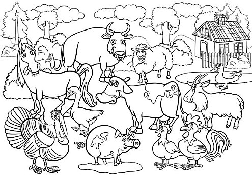 家畜,卡通,上色画册