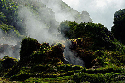 喷气孔,岛屿,特尔赛拉岛,亚速尔群岛,葡萄牙