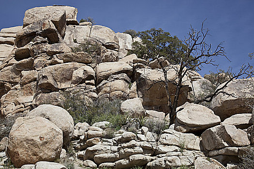 石头,约书亚树国家公园,加利福尼亚,美国,仰视