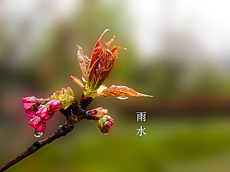 二十四節氣圖