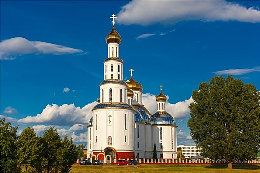 神圣,大教堂,布雷斯特,白俄罗斯
