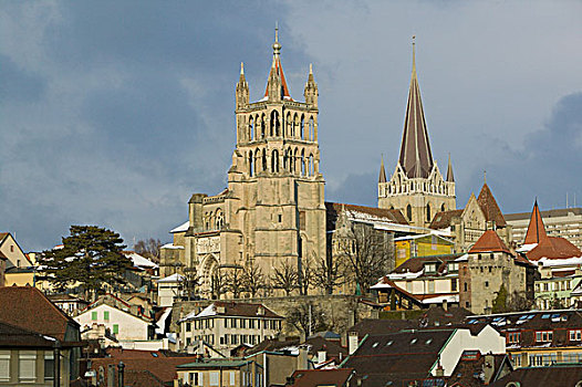 瑞士,沃州,洛桑,大教堂,冬天