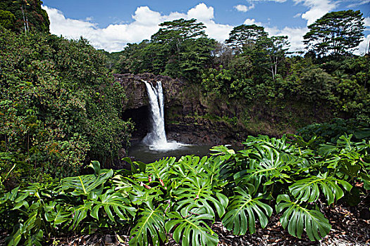 彩虹瀑布,夏威夷,美国