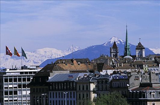 瑞士,日内瓦,建筑,圣彼得,大教堂,阿尔卑斯山,背影