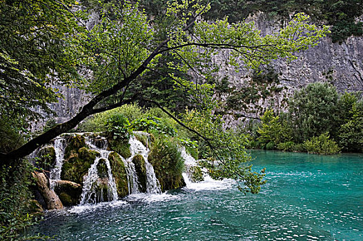 小,瀑布,风景,普利特维察,湖,十六湖国家公园,克罗地亚,欧洲