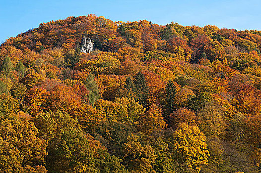 秋色,混交林,弗兰哥尼阶,瑞士,上弗兰科尼亚,巴伐利亚,德国,欧洲