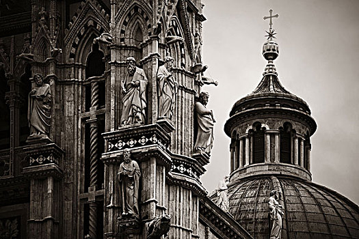 锡耶纳,大教堂,特写,圆顶,雕塑,著名地标,中世纪,城镇,意大利