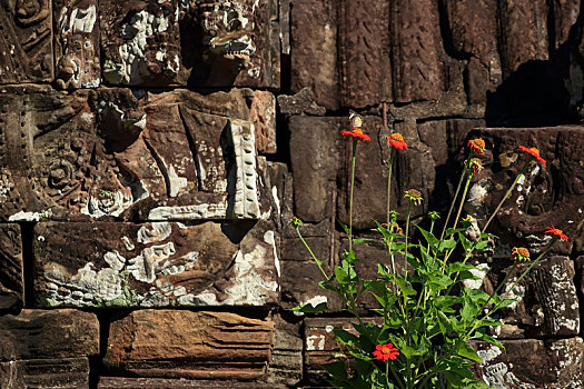 柬埔寨吴哥古城龙蟠水池石塔雕刻