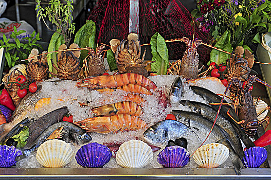 鱼肉,贝类,展示,正面,餐馆,港口,克里特岛,希腊