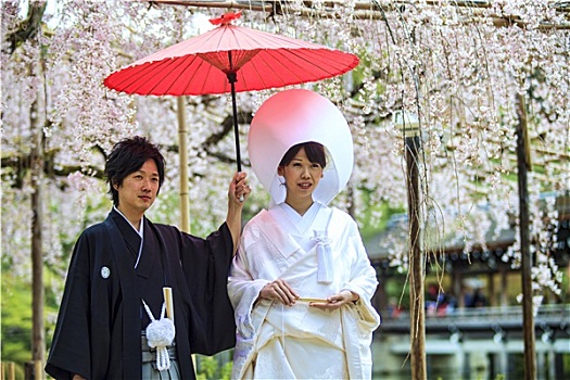 庆贺,特色,婚礼,日本