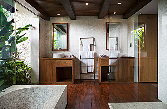 别墅,巴厘岛,内景,浴室