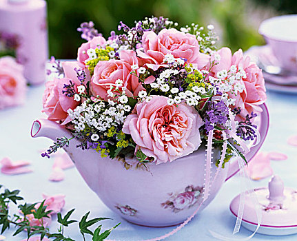 小,花,粉色,玫瑰,丝石竹属植物,茶壶