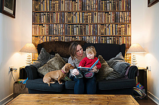 母亲,读,书本,儿子,沙发