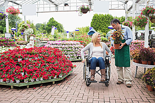 女人,轮椅,交谈,职员,植物,花卉商店