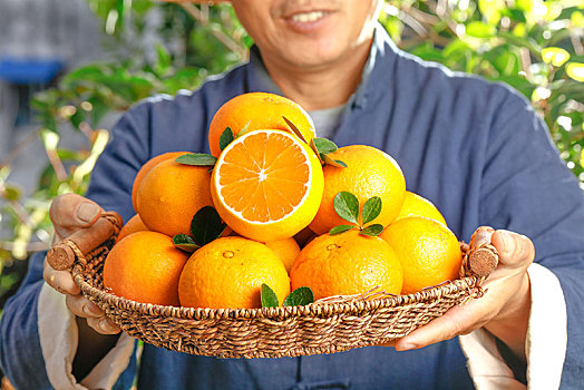 农民手上端着一篮爱媛38号果冻橙