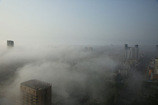 日照市海边出现平流雾奇观,美轮美奂犹如人间仙境