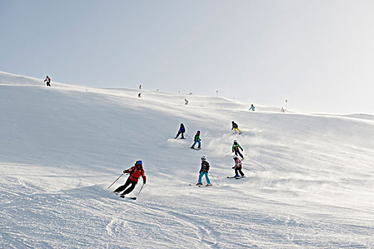 滑雪,学校,群体,奥地利,欧洲