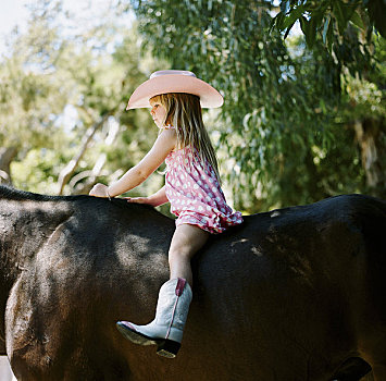 小女孩,骑马,加利福尼亚,美国