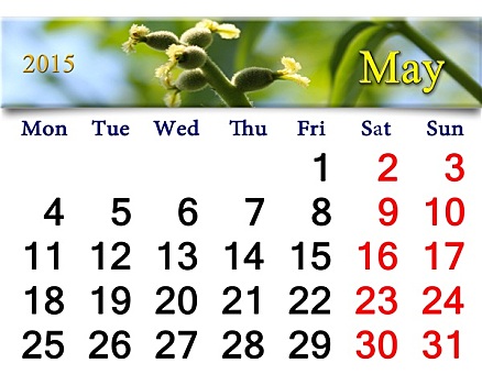 日程,五月,图像,盛开,胡桃
