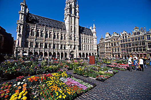 比利时,布鲁塞尔,大广场,市政厅,花市