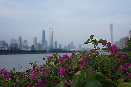 广州城市风光