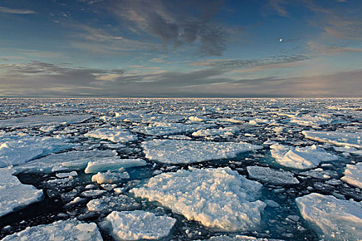 浮冰,北冰洋