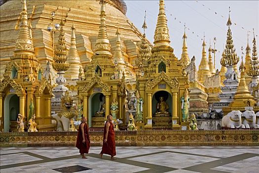 缅甸,仰光,黄昏,两个,和尚,排列,小,佛塔,庙宇祠堂,大金寺,金庙,印度,场所