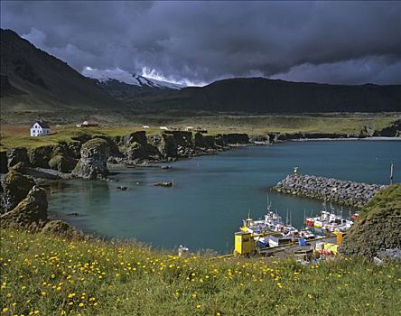 渔船,斯奈山半岛,冰岛
