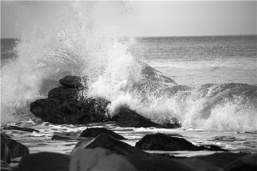 波浪,碰撞,上方,石头,海滩,黑白