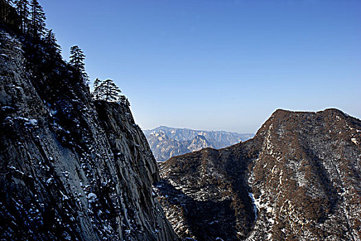 苍龙岭眺望华山松