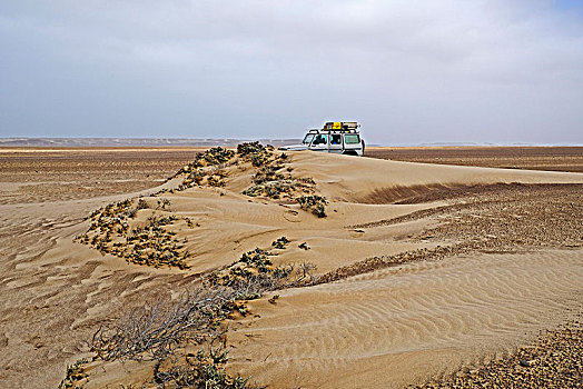 沙子,越野车辆,砾石,朴素,骷髅海岸,纳米比亚,公园
