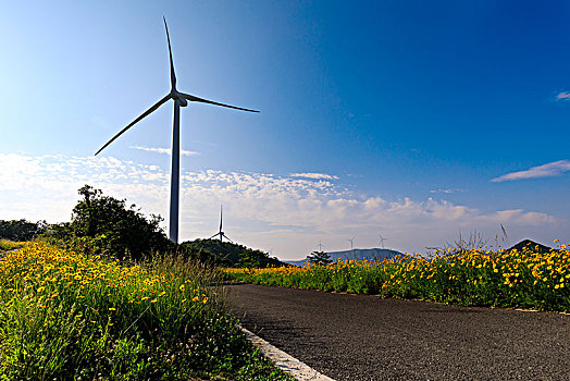 宁波白岩山电力风车