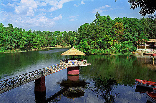 水,湖,孟加拉,全景,环境,完美,斑点,出游,野餐,自然环境