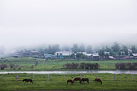 额尔古纳河两岸