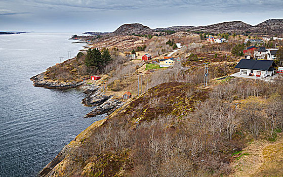 传统,沿岸,挪威,乡村,彩色,木屋