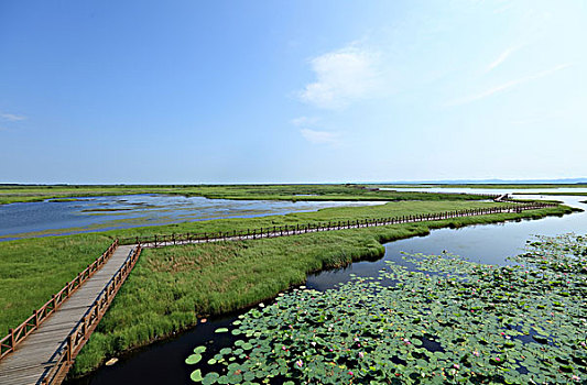 中国最美湿地,千鸟湖湿地