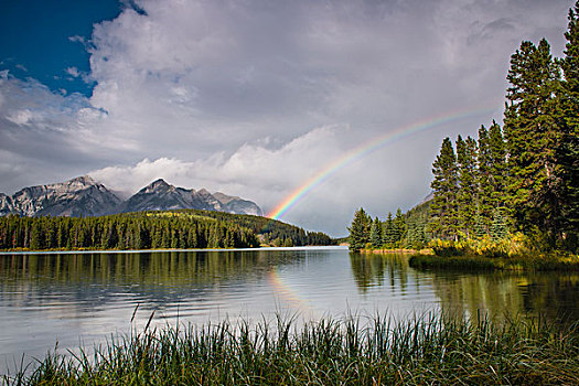 彩虹,加拿大,班夫国家公园,班芙国家公园,落矶山,艾伯塔省,省,北美