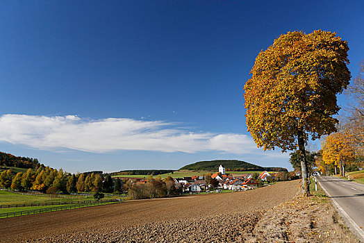 风景,乡村,秋天,巴登符腾堡,德国,欧洲
